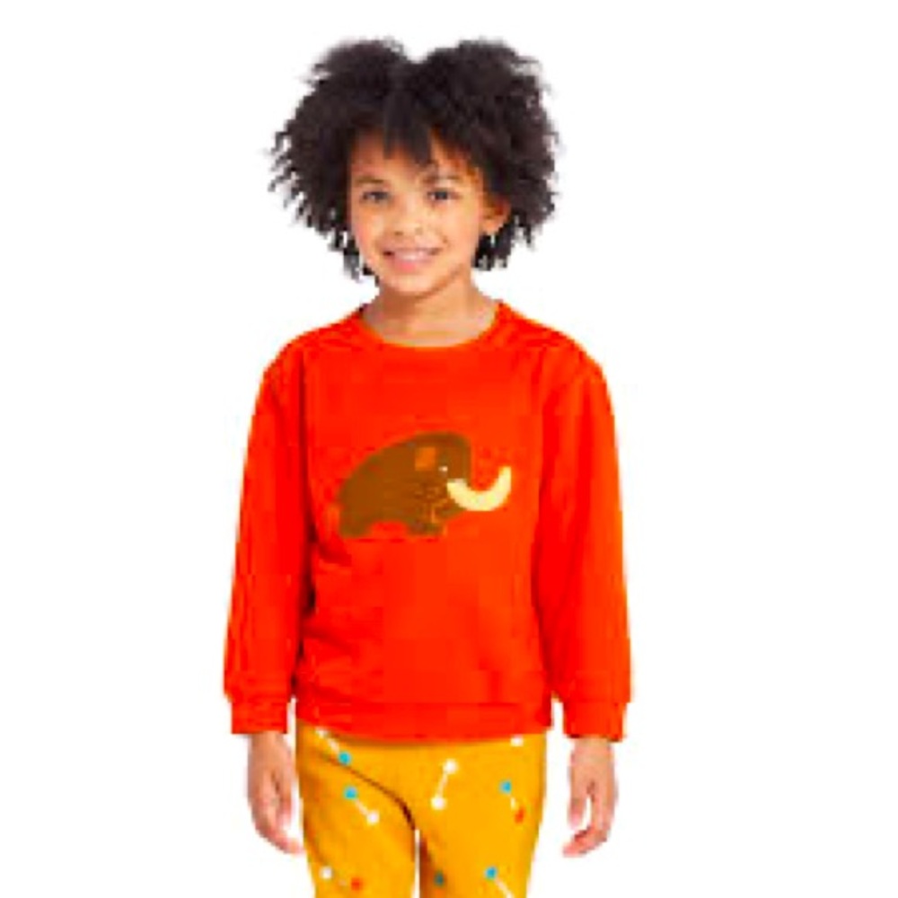 Target Kids Orange Sweatshirt with Mammoth Design